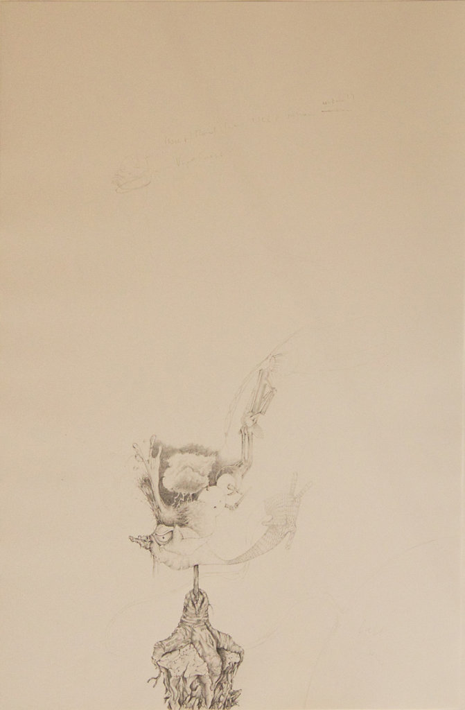 o.T., Grafit auf Papier, 2012